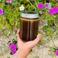 معجون رویال ، اصالت جنوب
