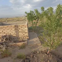 باغچه-در-صفرخواجه