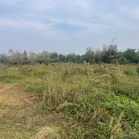 ۱۳۵۰ متر زمین‌ خوش قواره  باغ کیوی