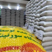 بار جدید برنج ایرانی با بهترین قیمت رسید