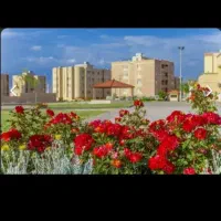 اجاره-آپارتمان-طبقه-3-خیابان-طلوع-بلوک-2-معراج