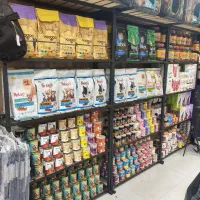 فروشگاه پامر پت شاپ شعبه 2 سگ گربه|لوازم جانبی حیوانات|مشهد, دانشجو|دیوار