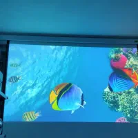 ویدیو پروژکتور/تصویر بزرگ و واضح/مناسب مدارس|تلویزیون و پروژکتور|رفسنجان, |دیوار