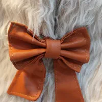 ست پاییزی چرم|کفش و لباس بچه|اسلامشهر, شهرک واوان|دیوار