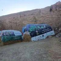 بنردست دوم بجایه نایلیون وگونی