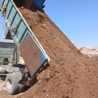 کودگاوی گوسفندی تمیز تحویل باغ وگلخانه