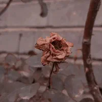 لطفا راهنمایی کنید