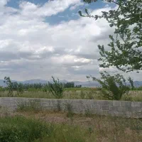 یک-قطعه-باغ-8-باتمان-با-یک-ساعت-آب