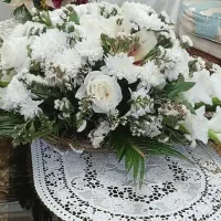 ۲ عدد سبد گل طبیعی|گل و گیاه طبیعی|قائم‌شهر, |دیوار