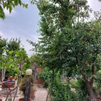 باغ ویلا.نوبهار|اجارهٔ کوتاه‌مدت ویلا و باغ|گلبهار, نوبهار|دیوار