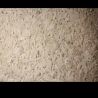 برنج طارم هاشمی اعلا..کشت خودمونه واس امسال|خوردنی و آشامیدنی|بندر گز, |دیوار