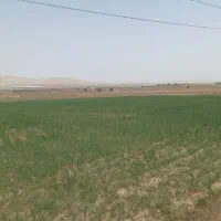 زمین
