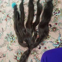 موطبیعی ۶۳سانت