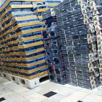 پخش عمده خرما ورطب