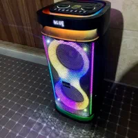 اسپیکر شارژی ویکر