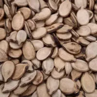 فروش درشیراز|خوردنی و آشامیدنی|شیراز, دست خضر|دیوار