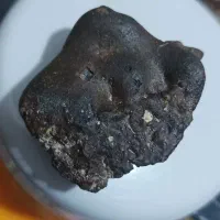 شهاب سنگ با رویه شبیه چرم