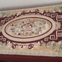 ۶ دانه پشتی درحد