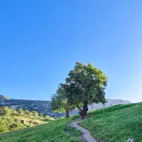 پیاده روی طبعت گردی مسافرت