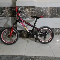 صاحب دوچرخه