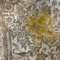 دو فرش ۱۲متری ۱۰۰۰شانه|فرش|آمل, |دیوار