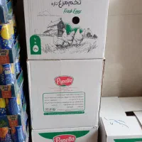 تخم مرغ پانلا شانه ای 315 هزار