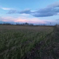 زمین زراعی مزرعه