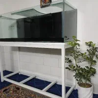 پایه و اکوا