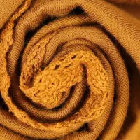 بلوز پاییزی آستین بلند|لباس|سنندج, |دیوار