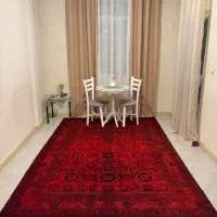 فرشینه پشت ترمز