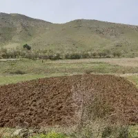 زمین کشاورزی آخر نایسر