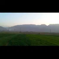 خوراکی و آشامیدنی|خوردنی و آشامیدنی|قلعه شاهین, |دیوار