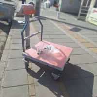 باسکول دیجیتال