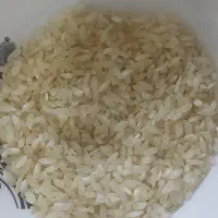 برنج درجه یک کامفیروزی