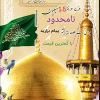 سفر مشهد محدود