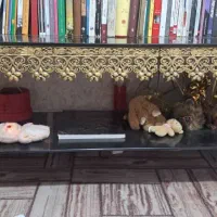 زیر تلوزیونی