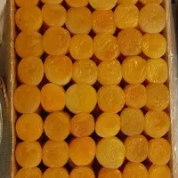 زردآلو(قیسی) درجه یک