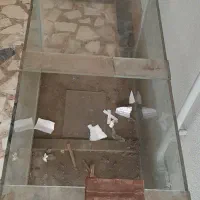 آکواریوم بزرگ|ماهی|رشت, استادسرا|دیوار