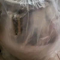 زود نو استفاده نشده