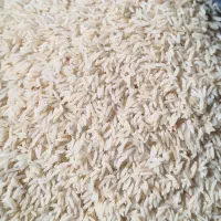 برنج هاشمی درجه یک