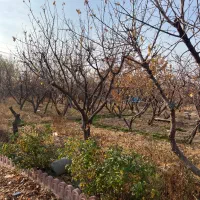 چهاریواری-شهریار-دهشاد