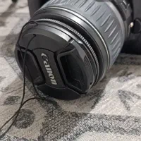 دوربین کنون|دوربین عکاسی و فیلم‌برداری|قم, چهل درخت‎|دیوار