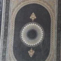 گالری فرش امیر|فرش|میانه, |دیوار