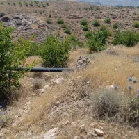 چرام باغ شمسوا ،شمس آباد فقط 500 تخفیف خوبی داره|فروش زمین و ملک کلنگی|چرام, |دیوار