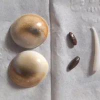 مهره اصلی|جواهرات|قم, شاه سید علی|دیوار