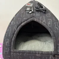 گربه توله پرشین|گربه|شیراز, درکی|دیوار