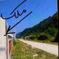 315-متر-پلاک-1-جنگل-با-سند-تک-برگ