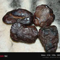 شهابسنگ سنگی آهنی کربنادو|جواهرات|ایلام, |دیوار