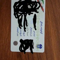 مدارک گمشده سینا ترابی نژاد