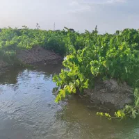 باغ انگور شورین|فروش خانه و ویلا|همدان, |دیوار